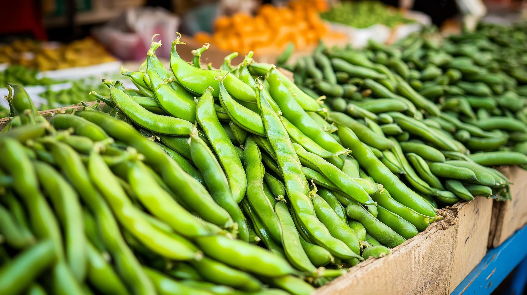 FAQ sur la saison des petits pois