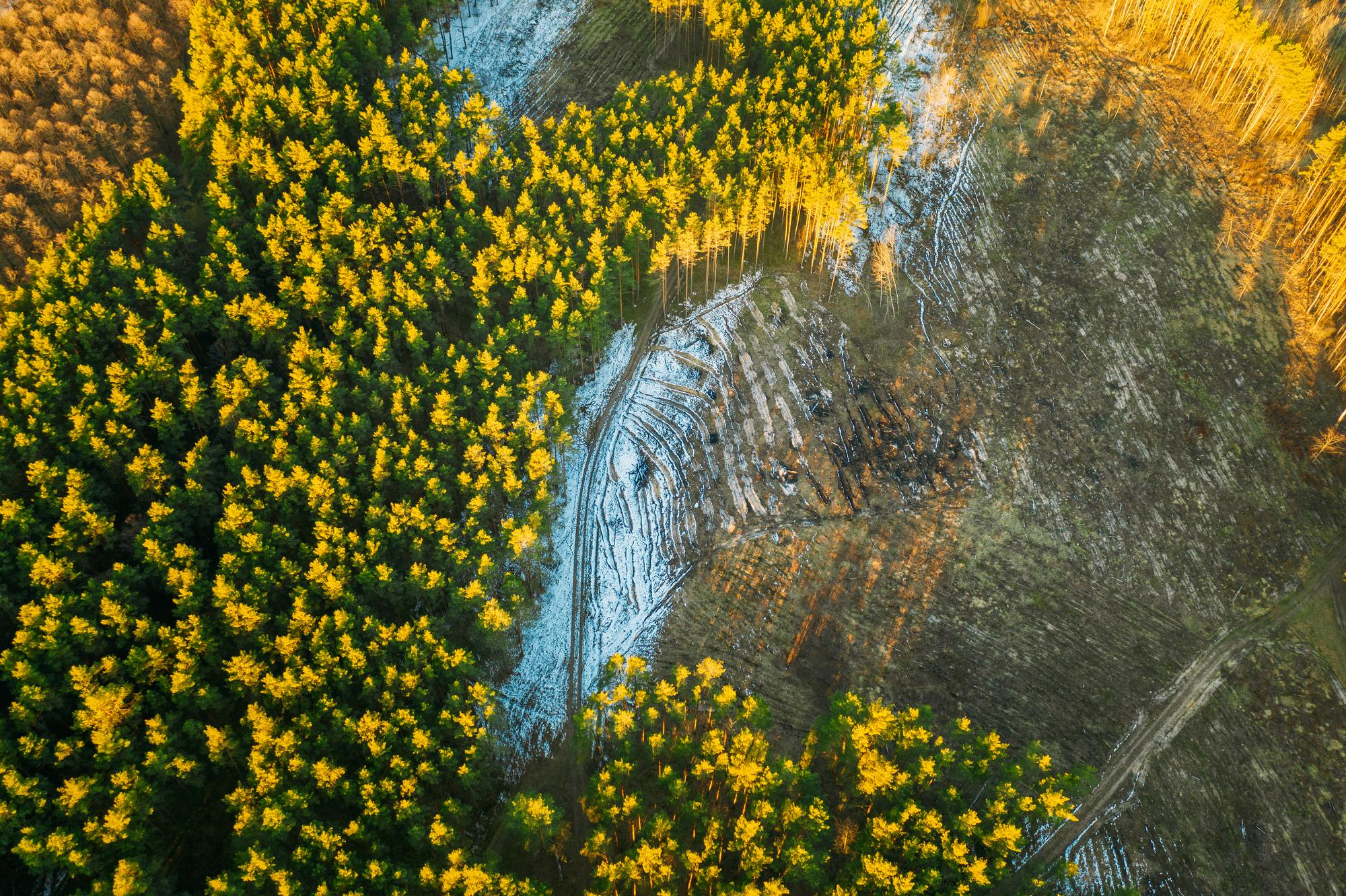Quels types de ressources naturelles en Ukraine ?