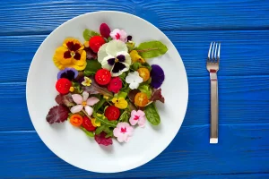 assiette vegetarienne colorée