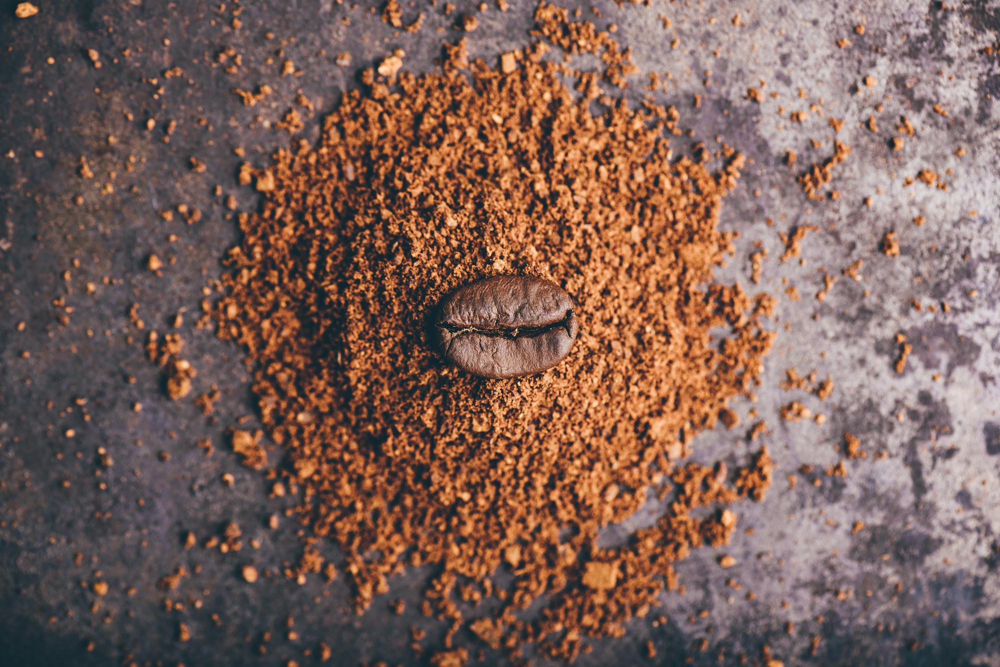 Marc de café contre les pucerons, limaces et fourmis : mythe ou réalité ?
