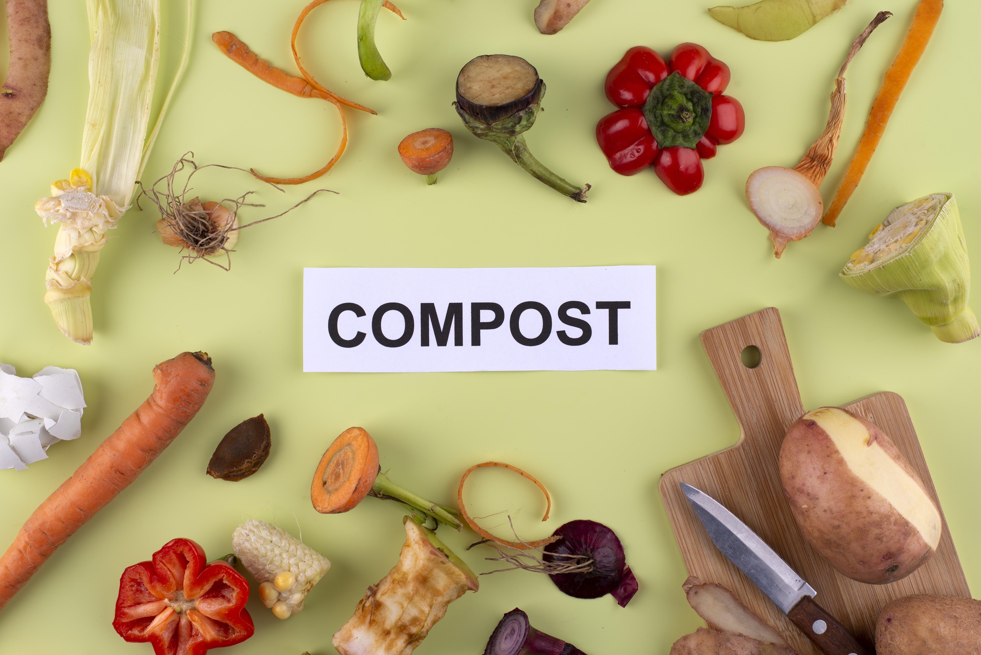 FAQ : composteur et rat, les questions qu’on se pose vraiment