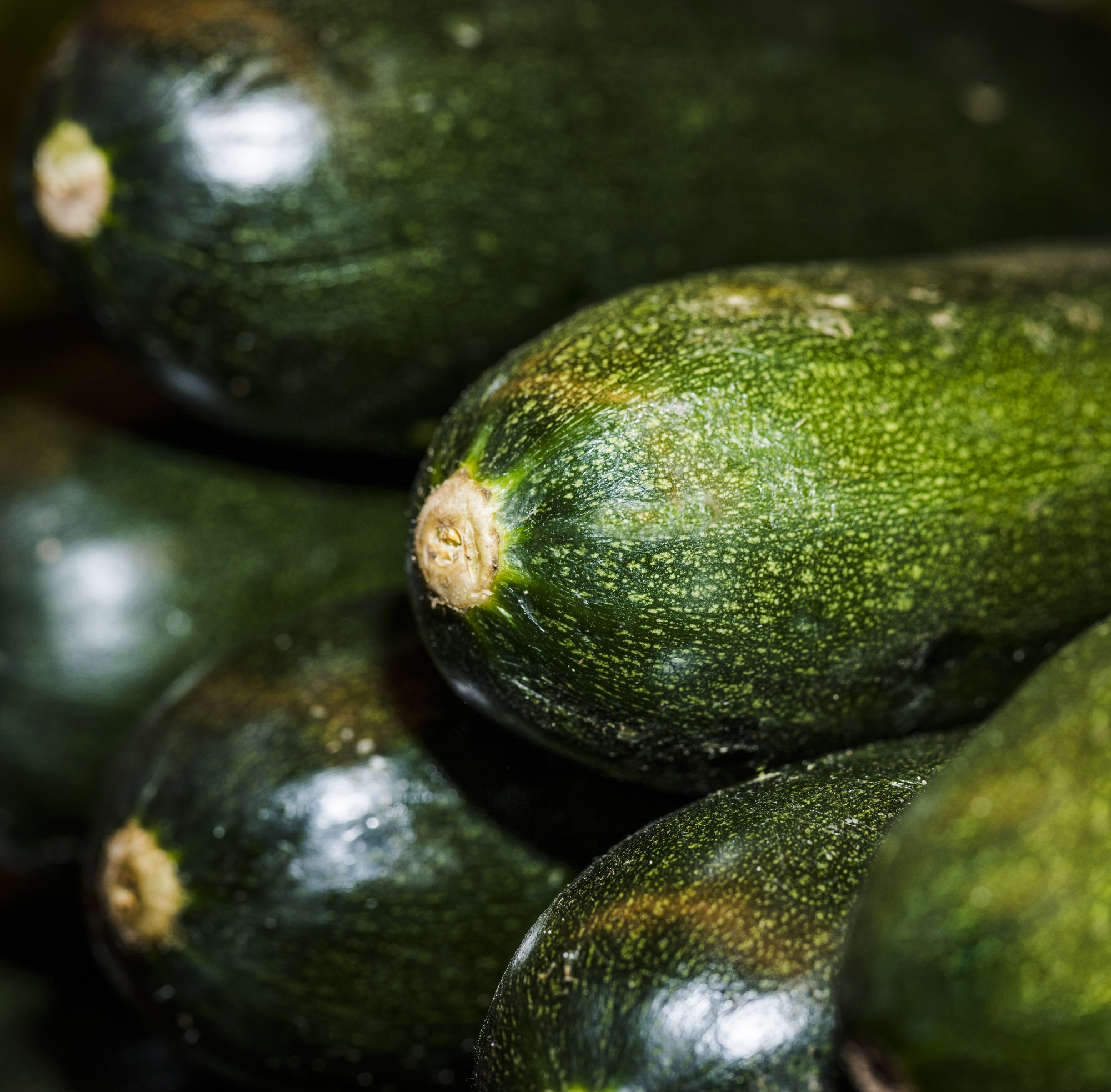 Comprendre la courgette pour mieux la cuisiner
