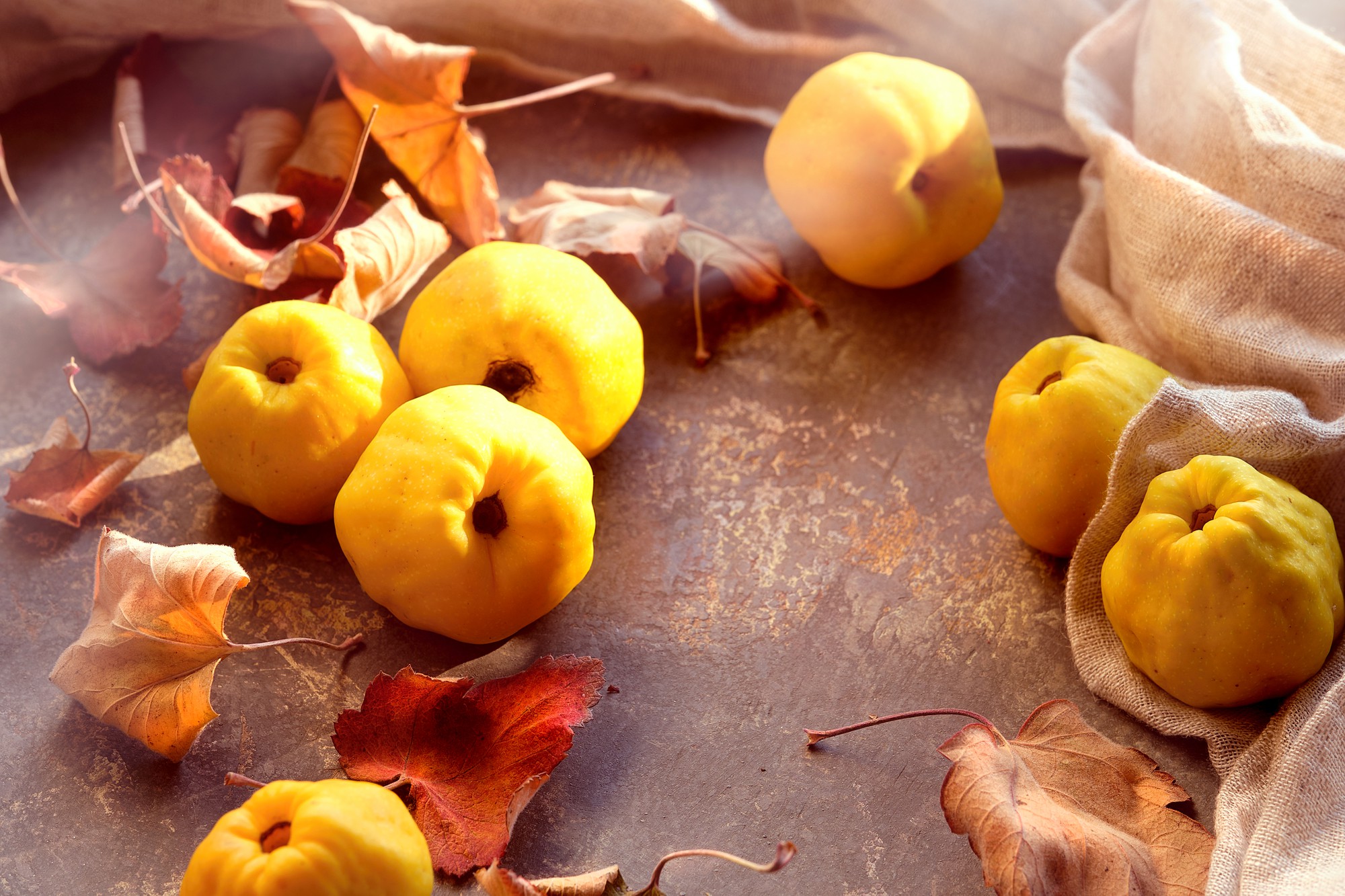 Reconnaître le fruit du cognassier du Japon