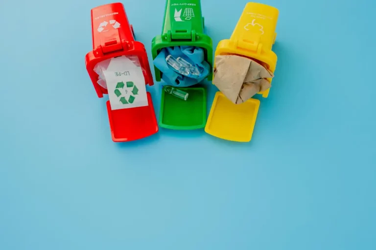 Zéro déchet et recyclage : le guide pratique (tri, compost, déchetterie)