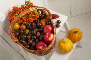 autumn fruits basket