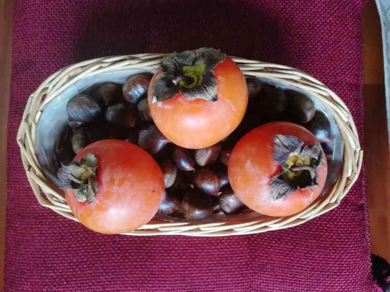 Découvrir le fruit du cognassier du Japon en cuisine