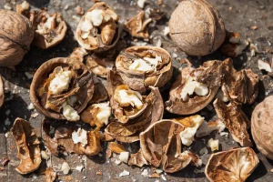 coquilles de noix compost