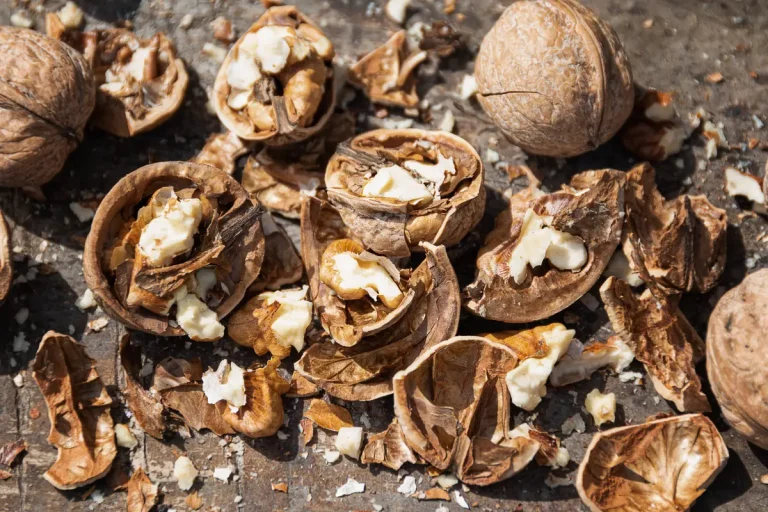 Utiliser les coquilles de noix au compost sans le bloquer
