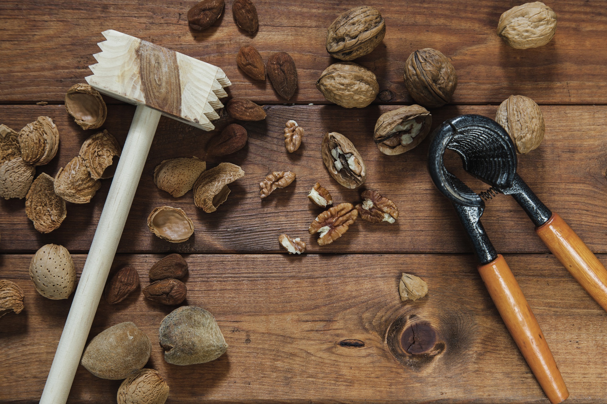 Autres usages des coquilles de noix au jardin