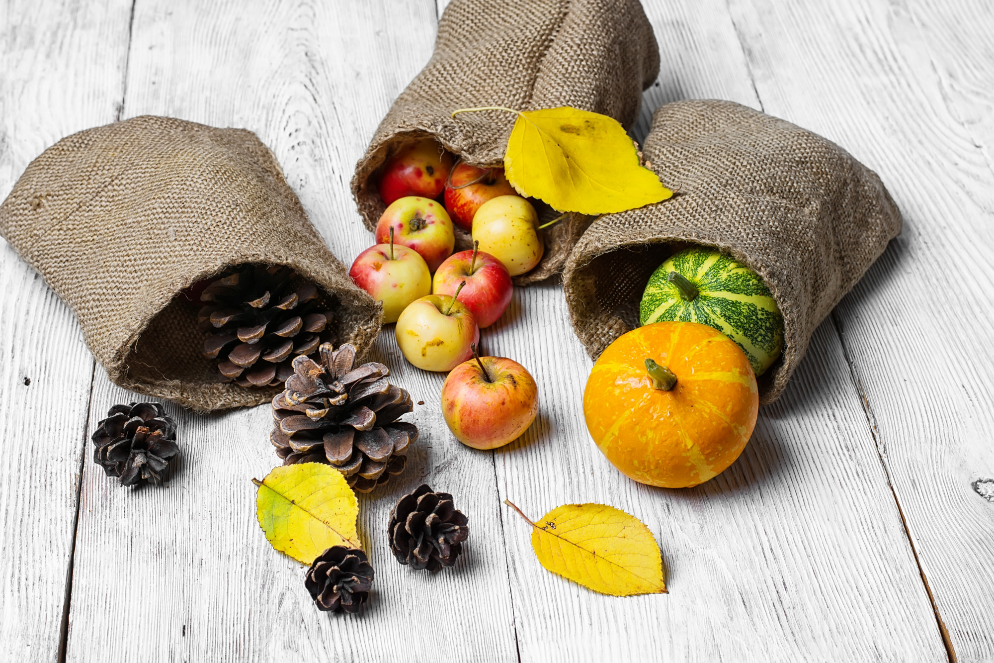 Quels fruits sont vraiment de saison en octobre ?