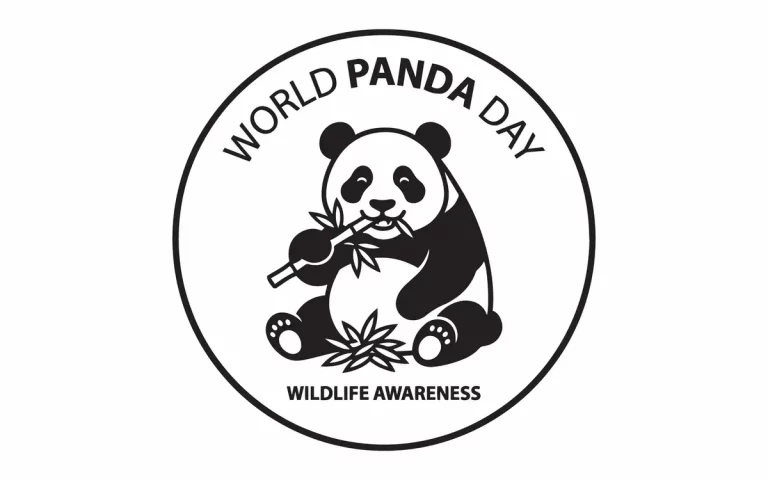 Comprendre ce que signifie WWF et son rôle réel