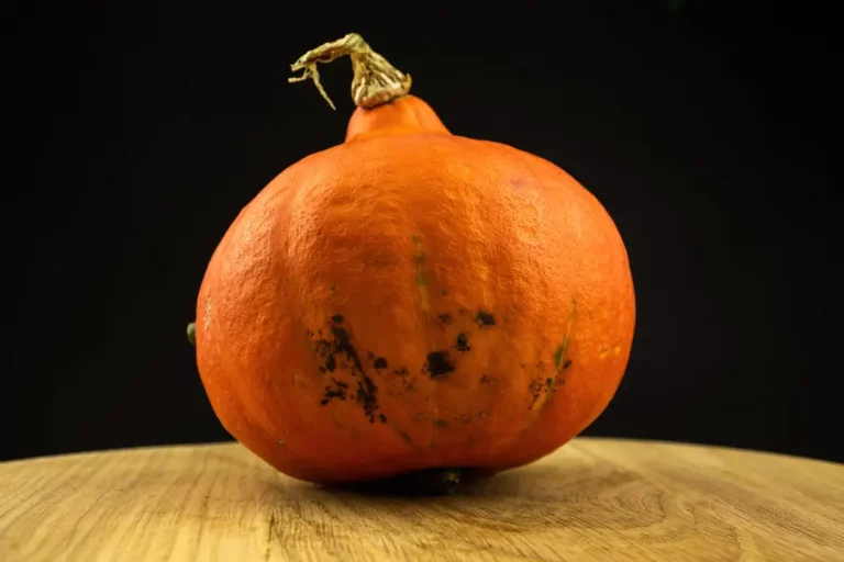 Cuisiner la peau du potimarron sans gaspiller