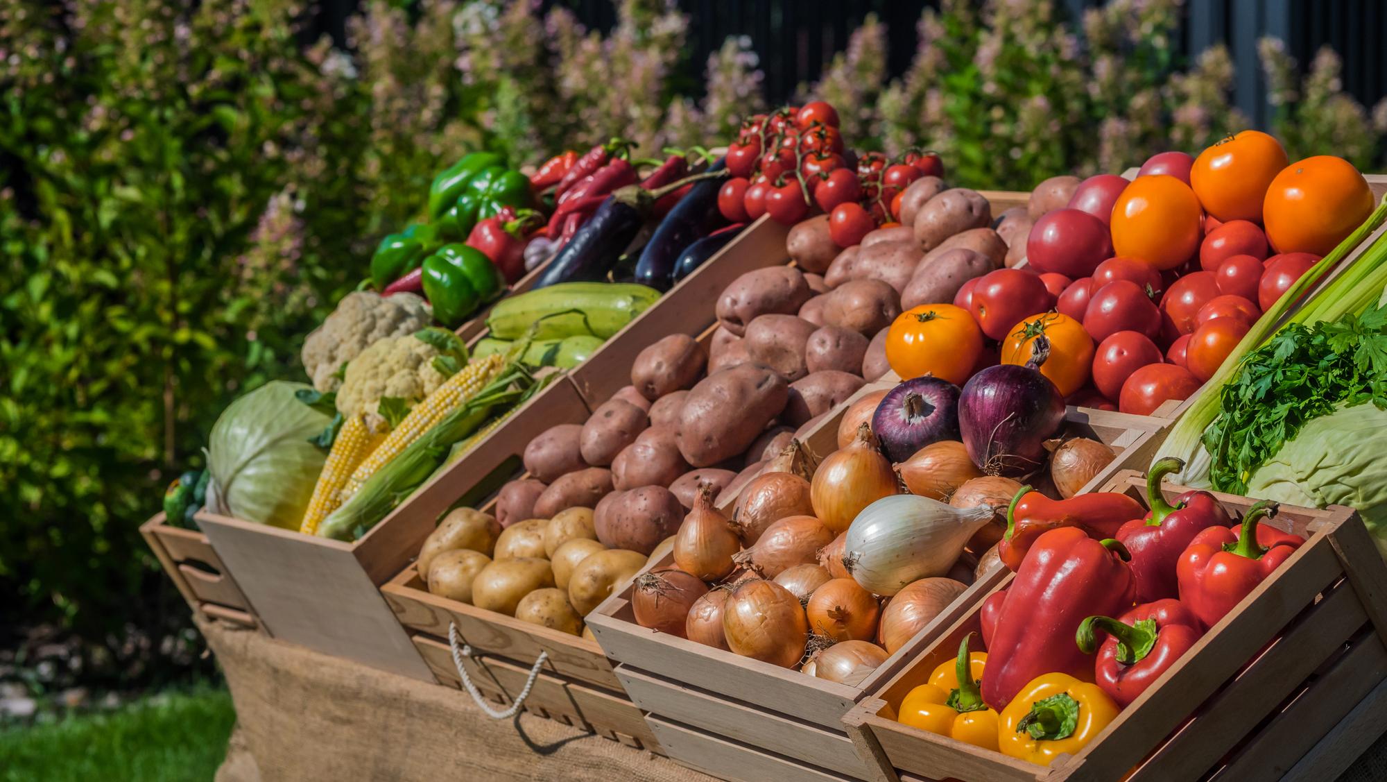 Manger des légumes de février : bon pour la planète et pour le budget