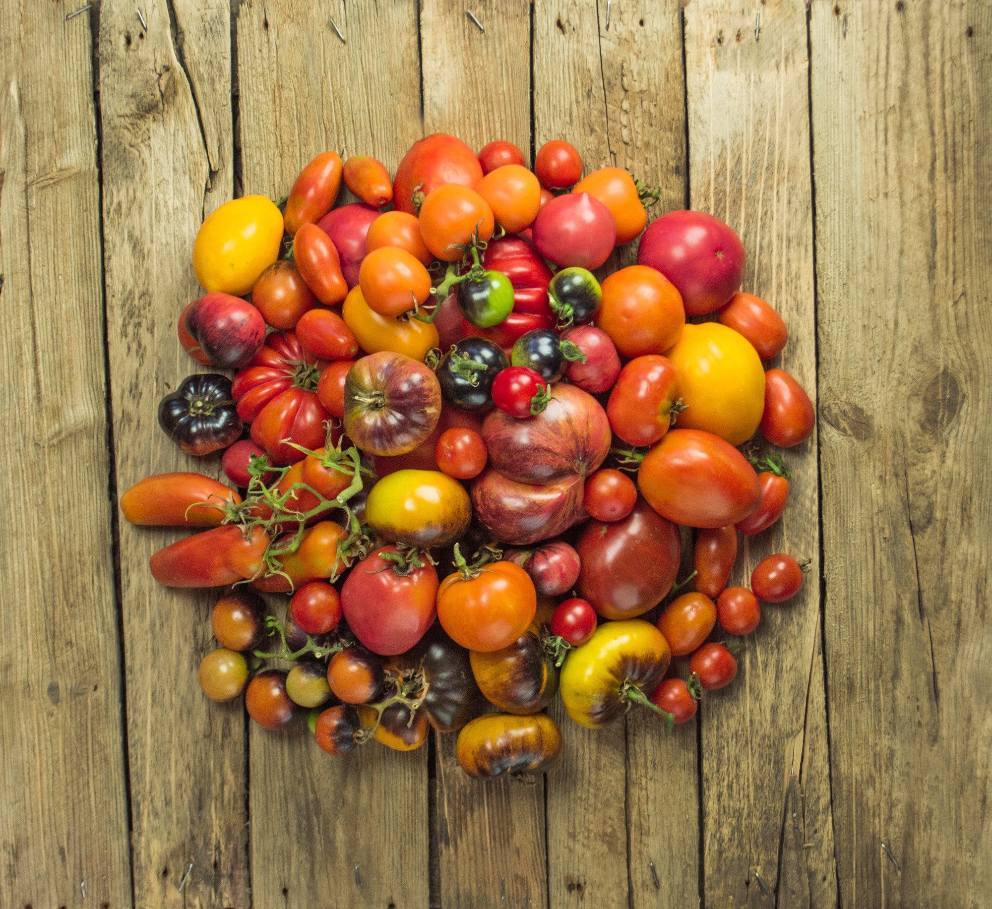 Quel légume est un fruit, au juste ?