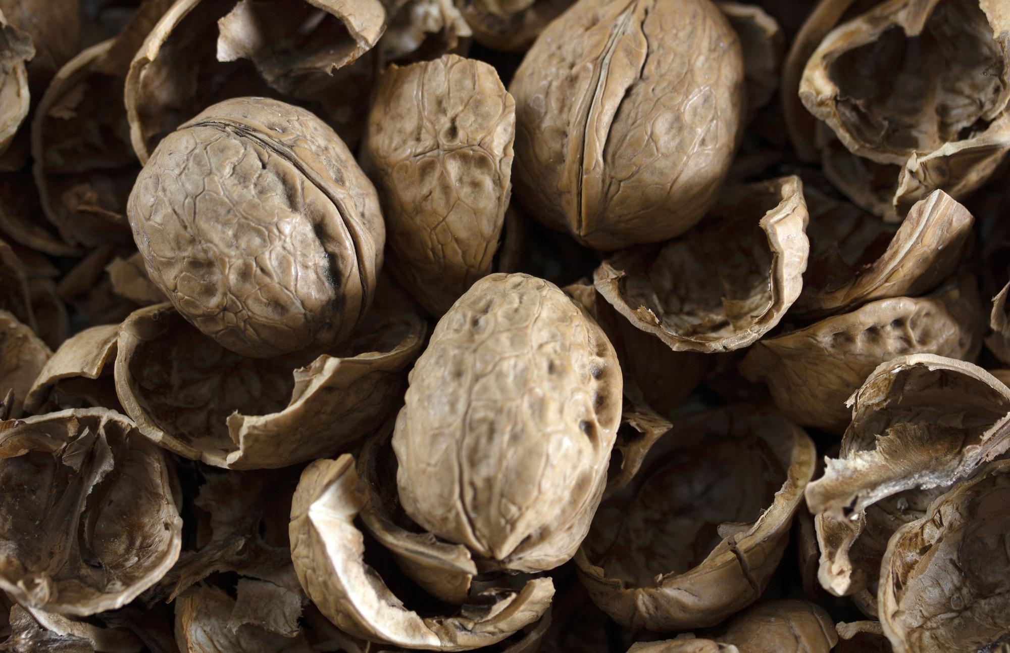 FAQ : coquilles de noix et compost, les questions fréquentes