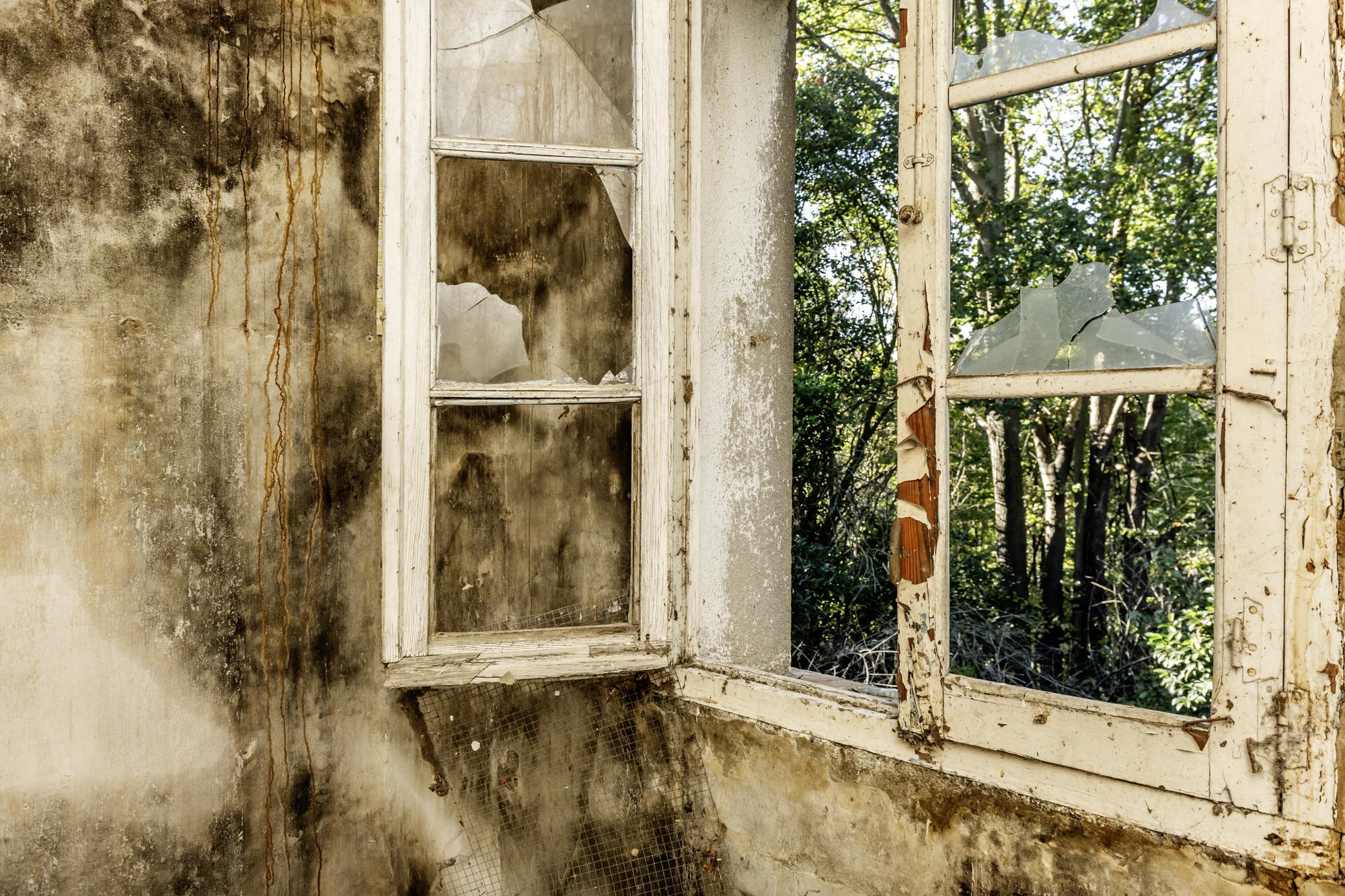 Que faire si la maison est dégradée, humide ou dangereuse ?